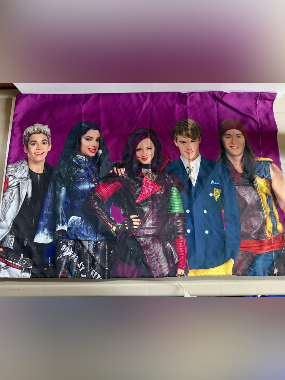 Disney’s Descendants Pillow Case Standard Size